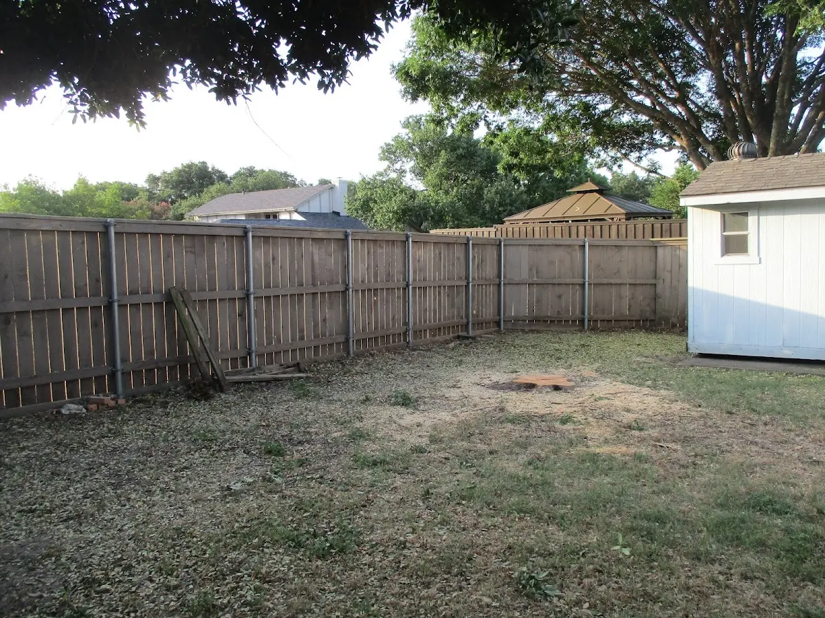 Cleared yard after professional tree removal in Circleville