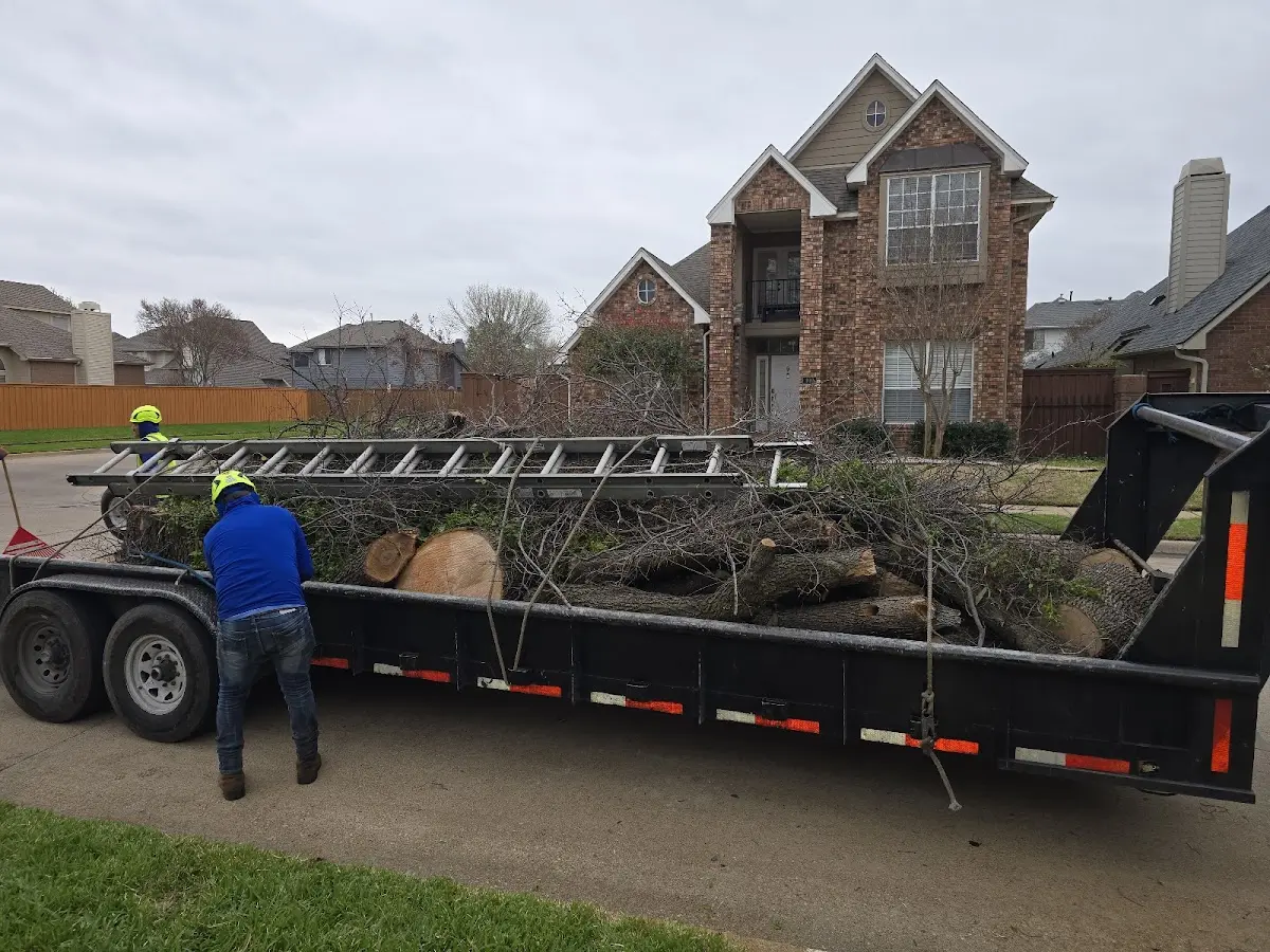 Expert Crown Reduction with proper safety equipment in Circleville